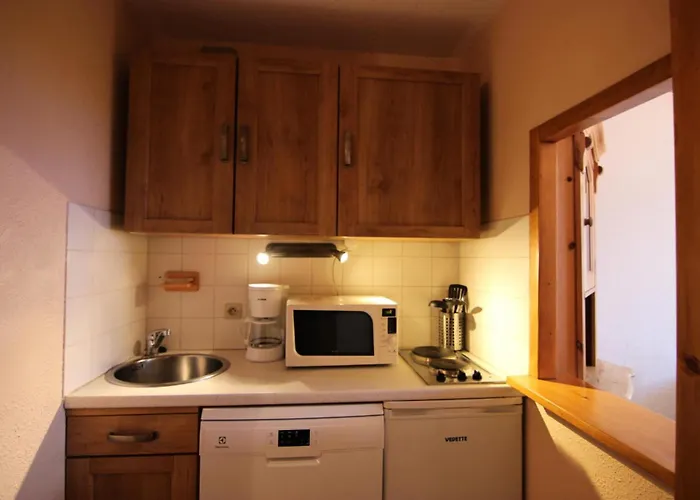 Apartment Joker - Confortable 2 Pieces 4 Personnes A 2 Pas Des Pistes Et Du Centre Mae-7692 *